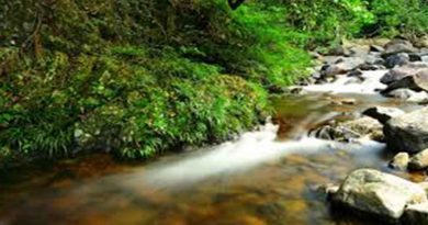 Sungai yang Masih Terjaga Kelestariannya