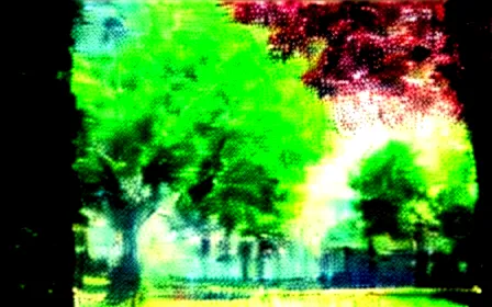 Manfaat Tanam Pohon di Perkotaan: Lebih dari Sekadar Hijau untuk Lingkungan & Kualitas Hidup | CepatNet