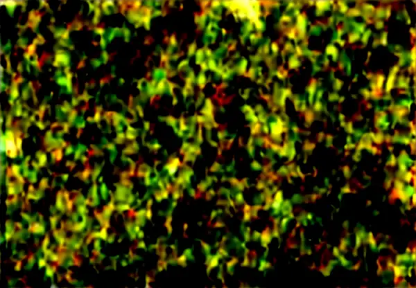 tangkapan layar sistem manajemen database software log akses kontrol riwayat pintu terbuka