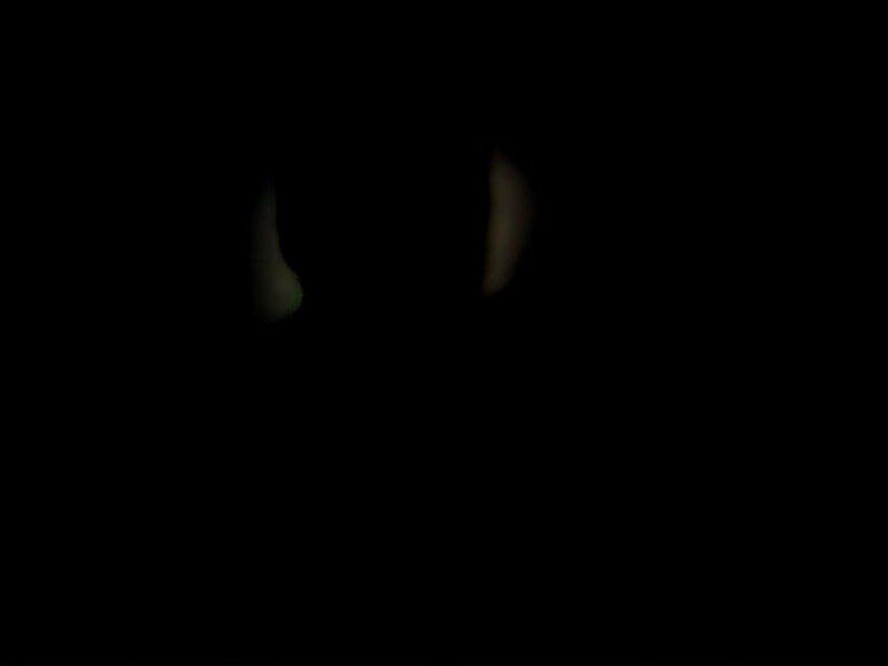 Penyelidikan forensik arsitektur graf pengetahuan yang mengungkap injeksi data kotor secara masif dari jaringan direktori eksternal (webhook API).